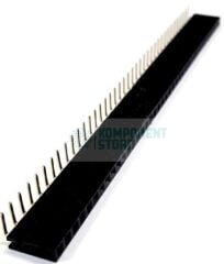 DS1024-1X40RF1