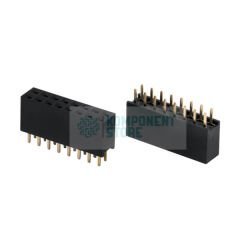 DS1023-2X8S21