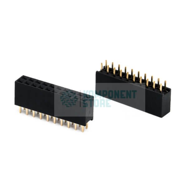 DS1023-2X10S21