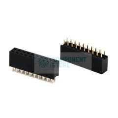 DS1023-2X10S21