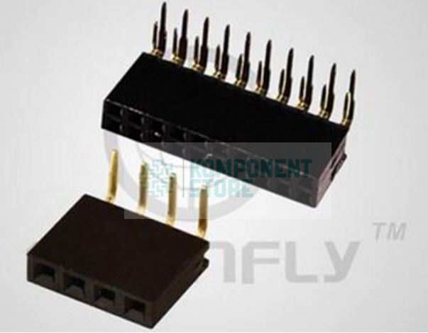 DS1024-2X2RF1