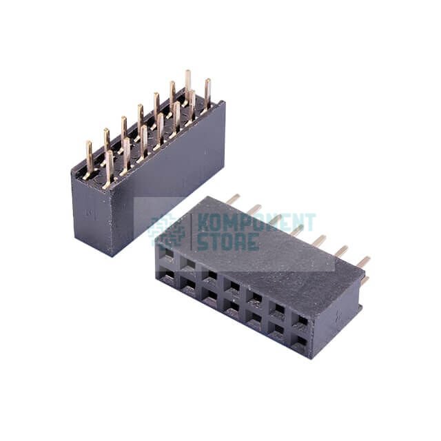 DS1023-2X7S21