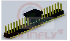 DS1031-08-2X5P8BS12XB
