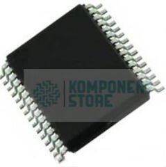 R5F100AGASP#V0