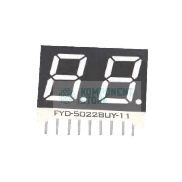 FYD-5022AUY-21