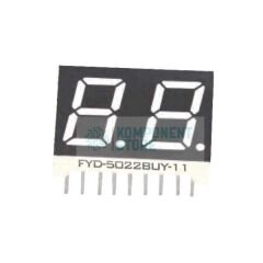 FYD-5022AUY-21
