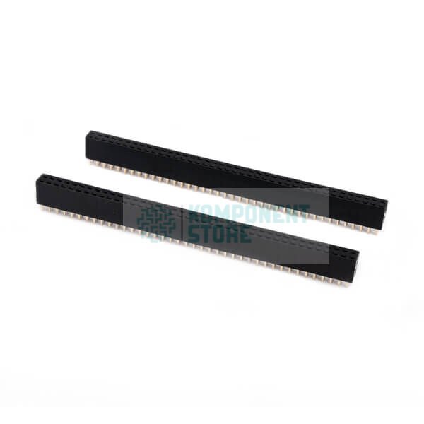 DS1023-2X40S21