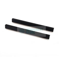 DS1023-2X40S21