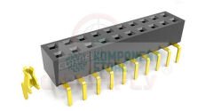 DS1024-01-2X20V82