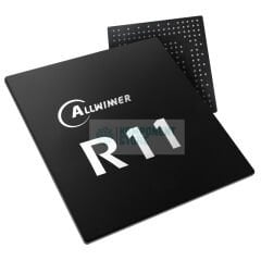 R11