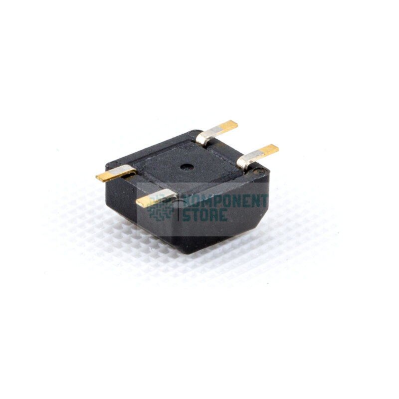 RBS100611T