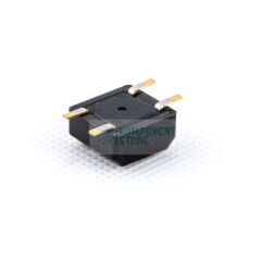 RBS100611T