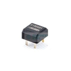 RBS100601