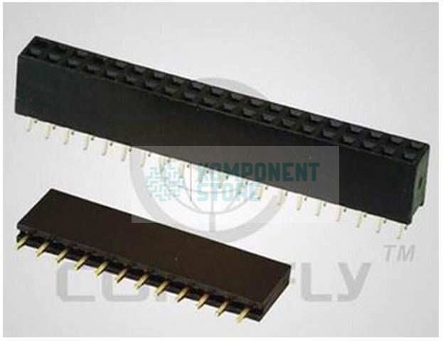 DS1023-1X6SF11