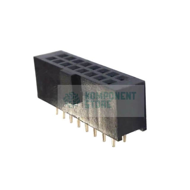 DS1023-02-2X8S21