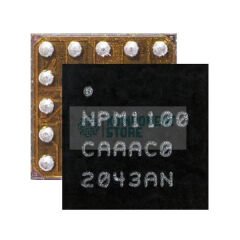 NPM1100-CAAA-R