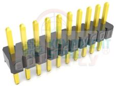 DS1031-01-1X6P8BV31-3A
