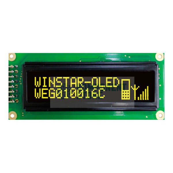 WEG010016CLPP5N00000