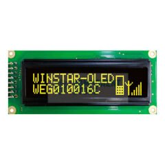 WEG010016CLPP5N00000