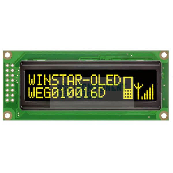 WEG010016DLPP5N00000