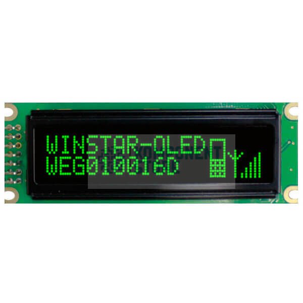 WEG010016DGPP5N00000
