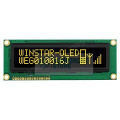 WEG010016JLPP5N00000