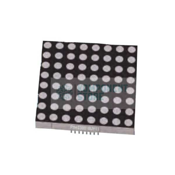 FYM-23881AUG-21