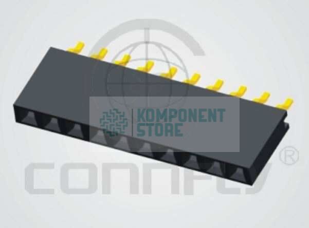 DS1023-21-1X6S81R