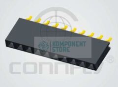 DS1023-21-1X6S81R