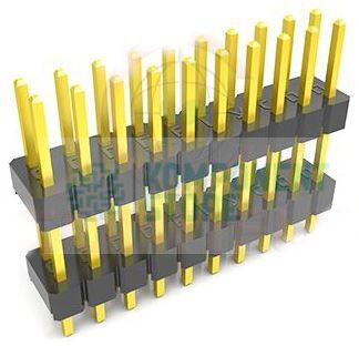 DS1029-04-2X10P8BVA50