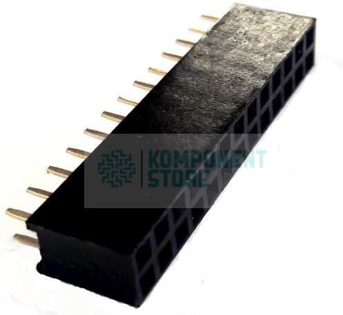 DS1023-2X13S21