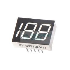 FYT-3931AUY-21