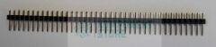 DS1021-1X40SF11-B