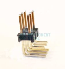 DS1022-2X3RF1-12-B